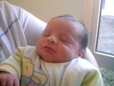 enzo mon ptit couzin